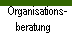  Organisations-  beratung 
